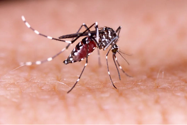 1748266458830865.png image.png